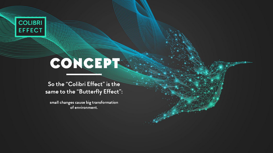 Дизайн презентации Colibri effect
